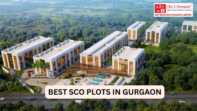 Premium Commercial SCO Plots in Gurugram for High ROI Investment